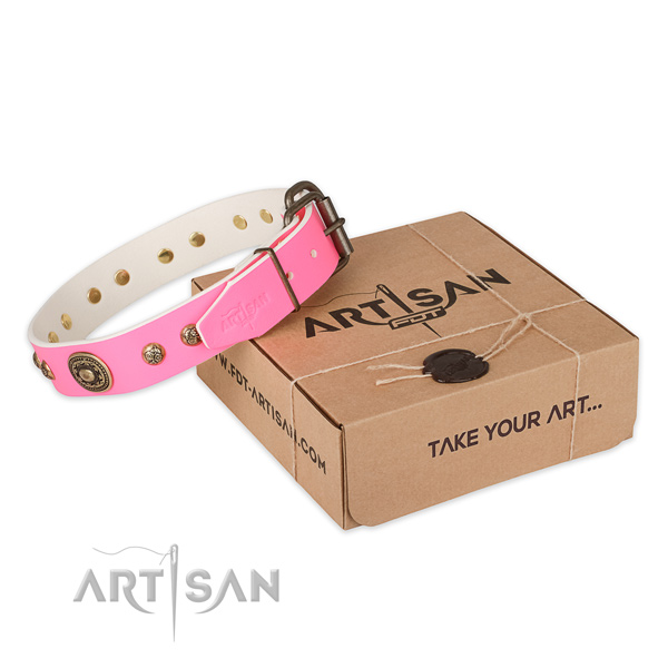 Reliable fittings on natural genuine leather dog collar for walking