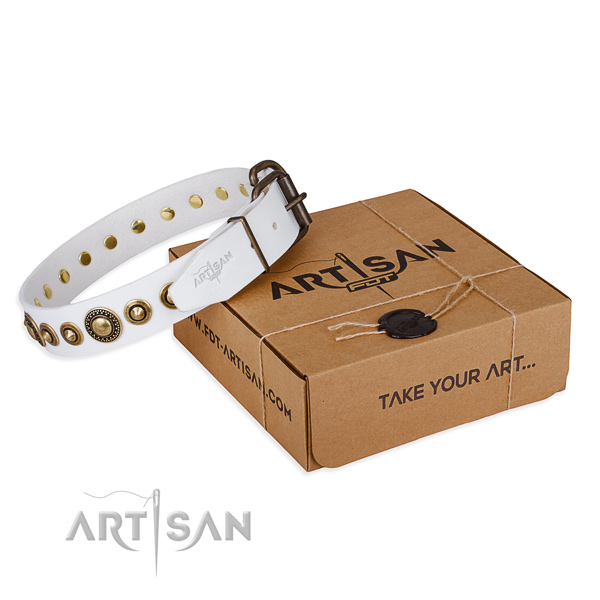 Strong genuine leather dog collar handcrafted for everyday use