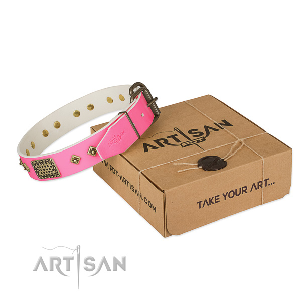 Reliable decorations on dog collar for everyday walking