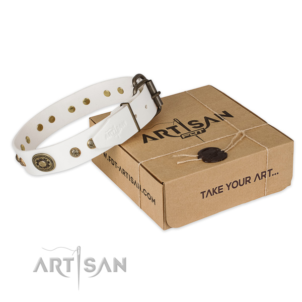 Strong traditional buckle on full grain genuine leather dog collar for basic training