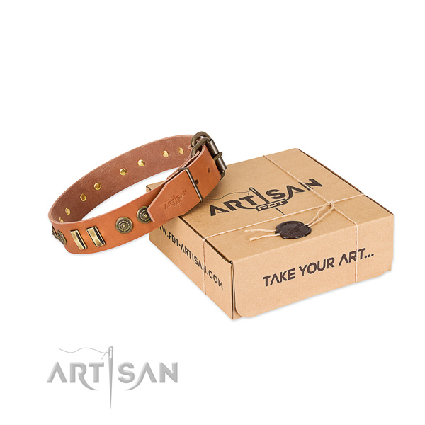 Corrosion proof studs on full grain leather dog collar for your four-legged friend