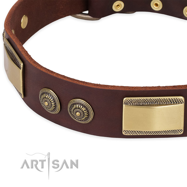 Stylish full grain natural leather collar for your beautiful dog