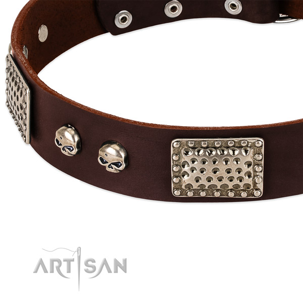 Corrosion proof adornments on leather dog collar for your pet