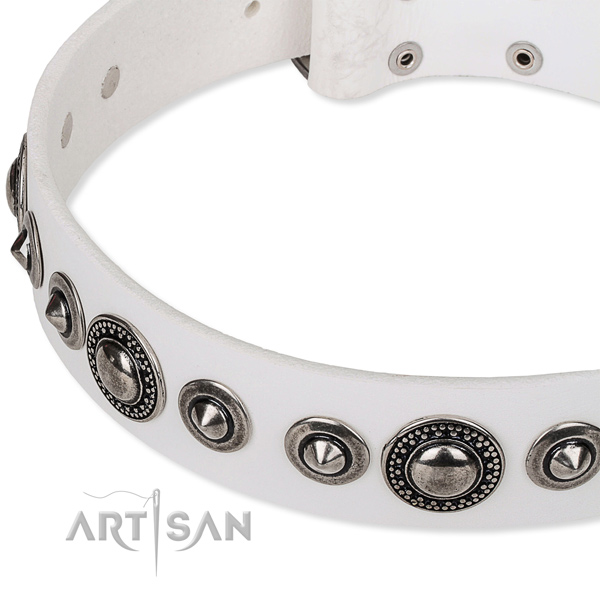Everyday use adorned dog collar of fine quality full grain natural leather