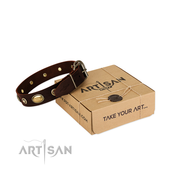 Strong adornments on natural leather dog collar for your canine