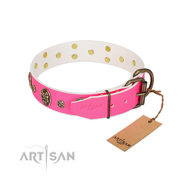 Rust resistant hardware on full grain natural leather collar for everyday walking your dog