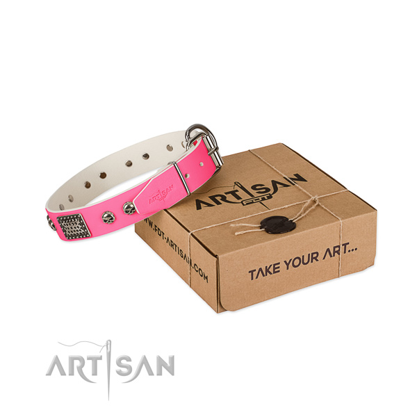 Corrosion proof D-ring on dog collar for easy wearing
