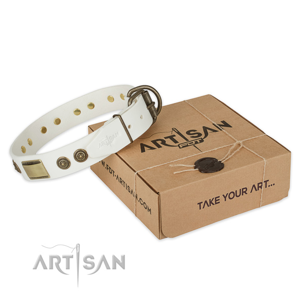 Rust-proof hardware on full grain genuine leather dog collar for everyday use
