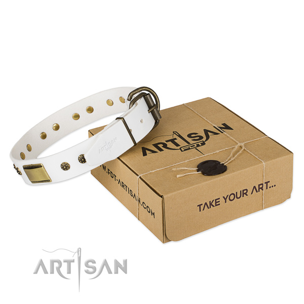 Trendy full grain leather collar for your impressive doggie