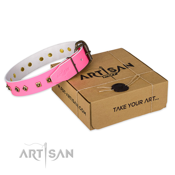 Rust resistant fittings on full grain genuine leather dog collar for comfy wearing