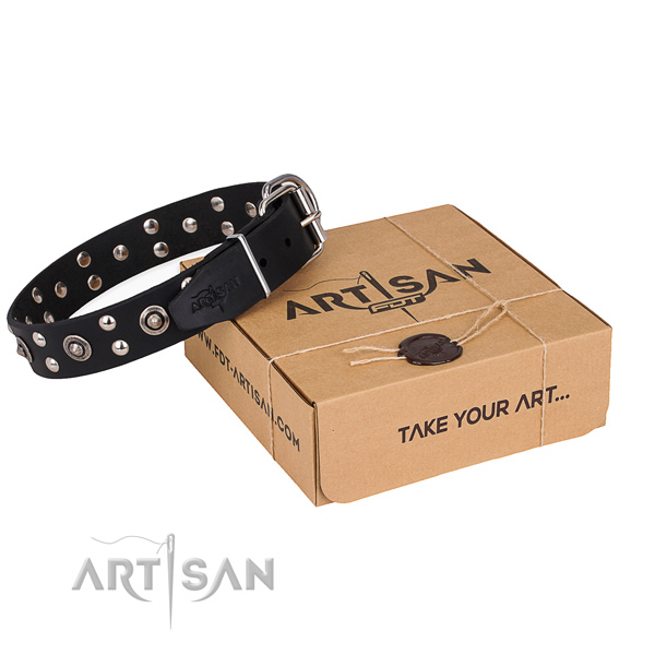 Stylish walking dog collar with Exceptional reliable adornments