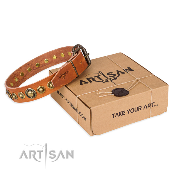 Flexible full grain natural leather dog collar created for everyday use