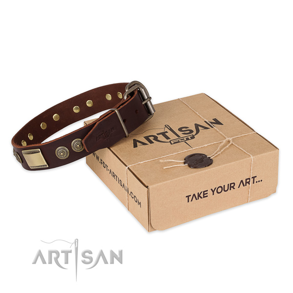 Durable buckle on full grain natural leather dog collar for walking