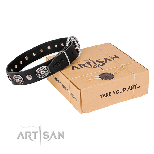 Top rate full grain leather dog collar crafted for comfy wearing