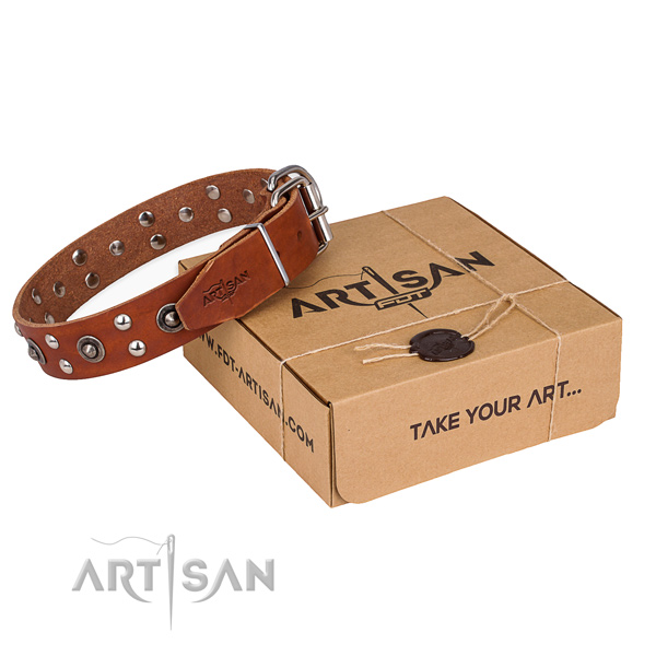 Corrosion proof fittings on full grain genuine leather collar for your impressive doggie