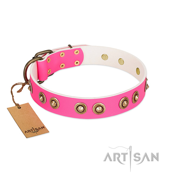 Perfect fit natural genuine leather dog collar for everyday use