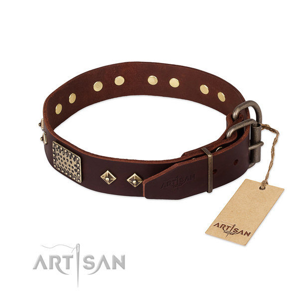 Leather dog collar with strong hardware and decorations