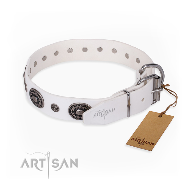 Durable full grain leather dog collar made for daily use