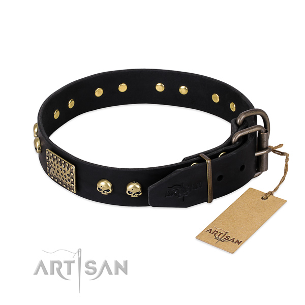 Rust resistant traditional buckle on basic training dog collar