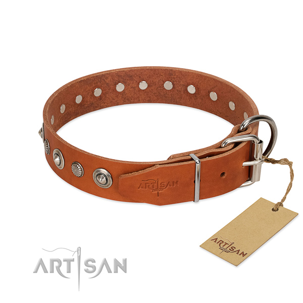 Finest quality full grain natural leather dog collar with unique adornments