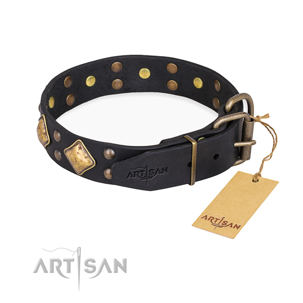 Leather dog collar with awesome durable studs