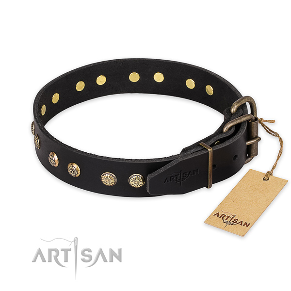Rust resistant fittings on leather collar for your beautiful four-legged friend
