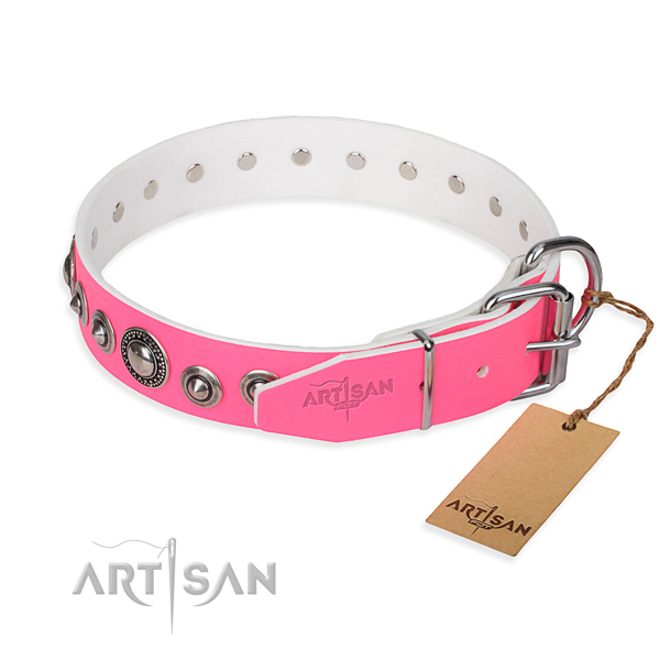 Full grain natural leather dog collar made of flexible material with rust-proof embellishments