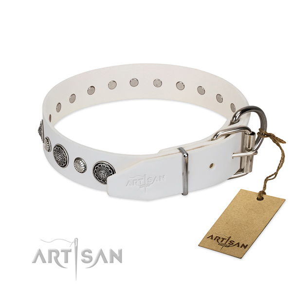 Top notch Full grain natural leather dog collar with corrosion resistant fittings