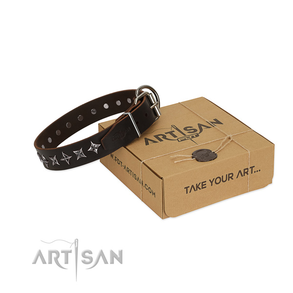 Walking dog collar of best quality natural leather with adornments