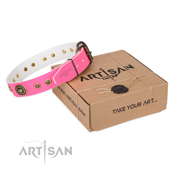Full grain genuine leather dog collar made of high quality material with rust resistant traditional buckle