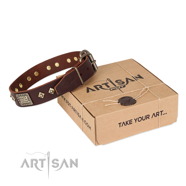 Amazing leather collar for your handsome pet