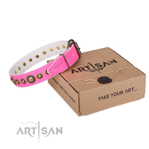 Top rate genuine leather dog collar created for stylish walking