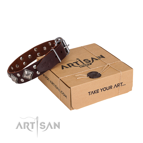 Walking dog collar with Top notch rust-proof embellishments