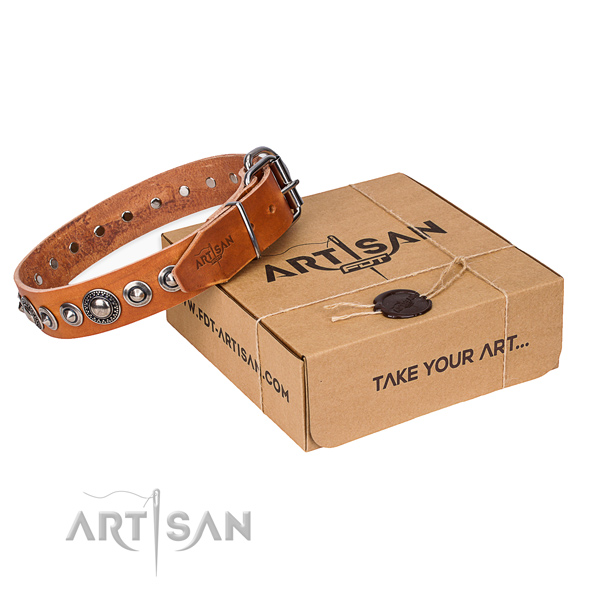 Leather dog collar made of high quality material with rust-proof hardware