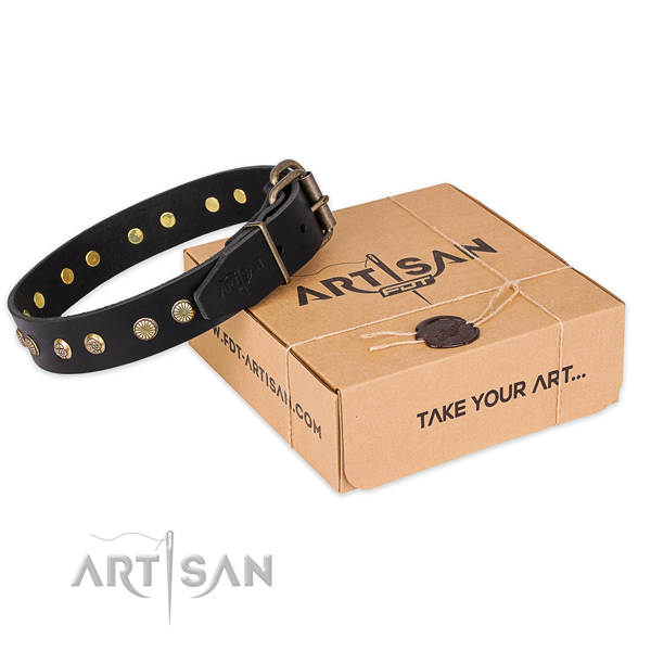 Corrosion proof buckle on full grain genuine leather collar for your beautiful canine