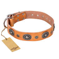 "Twinkle Twinkle" FDT Artisan Incredible Studded Tan Leather Newfoundland Collar