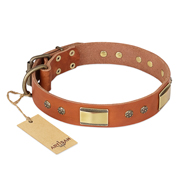 "Enchanting Spectacle" FDT Artisan Tan Leather Newfoundland Collar with Old Bronze Look Plates and Round Studs "Enchanting Spectacle" FDT Artisan Tan Leather Newfoundland Collar with Old Bronze Look Plates and Round Studs