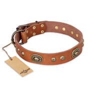 "Stunning Dress" FDT Artisan Tan Leather Newfoundland Collar with Old Bronze Look Plates and Studs