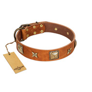 "Celtic Tunes" FDT Artisan Tan Leather Newfoundland Collar Adorned with Stars and Squares