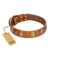 "Venus Breath" FDT Artisan Tan Leather Newfoundland Collar with Vintage Looking Oval and Round Studs
