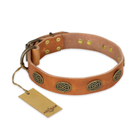 "Magic Amulet" FDT Artisan Tan Leather Newfoundland Collar with Oval Studs