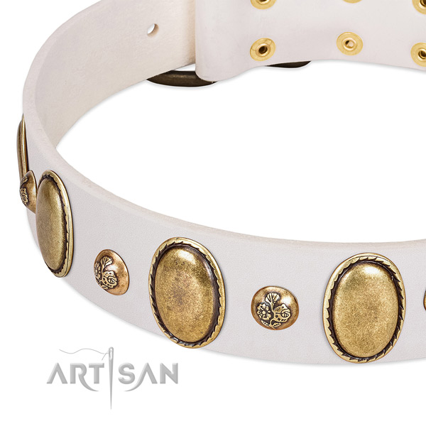 Leather dog collar with inimitable adornments