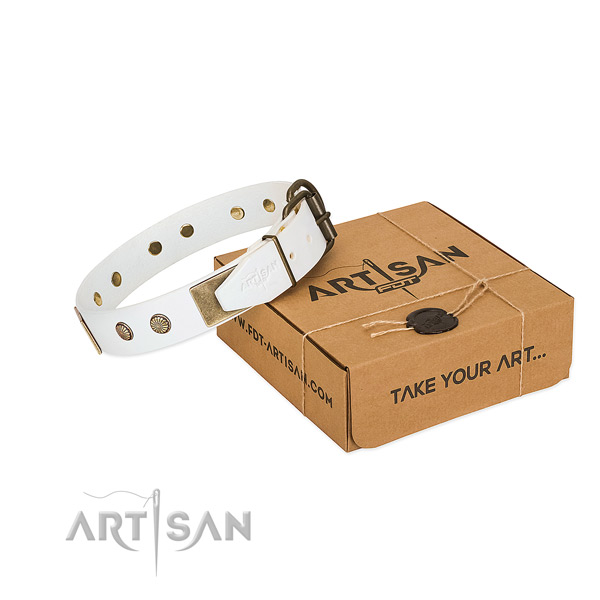 Corrosion resistant D-ring on dog collar for comfy wearing