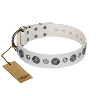 "Fluff-Stuff Beauty" FDT Artisan White Leather Newfoundland Collar with Silver-like Studs and Conchos "Fluff-Stuff Beauty" FDT Artisan White Leather Newfoundland Collar with Silver-like Studs and Conchos