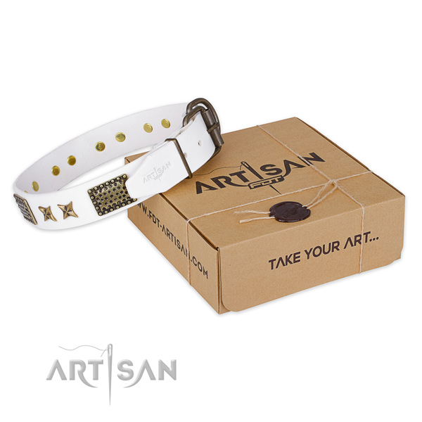 Reliable hardware on genuine leather collar for your stylish pet