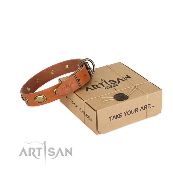 Trendy genuine leather collar for your impressive four-legged friend