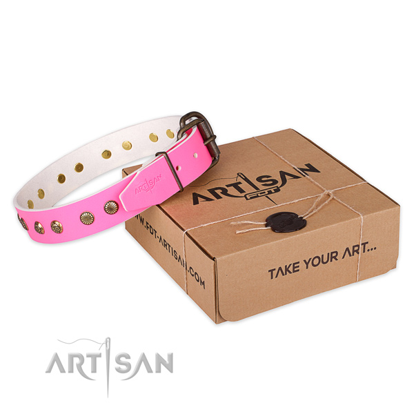 Strong hardware on full grain leather collar for your attractive four-legged friend