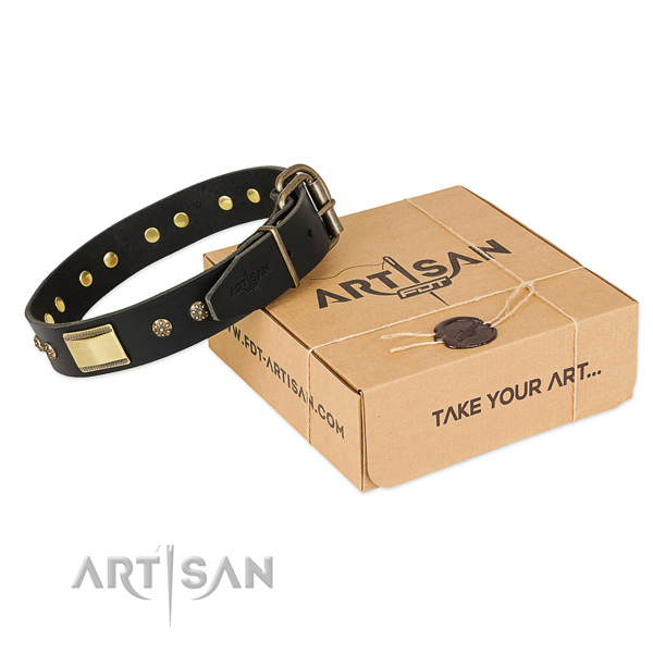 Unusual leather collar for your lovely four-legged friend