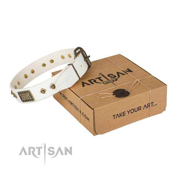 Extraordinary full grain natural leather collar for your lovely dog