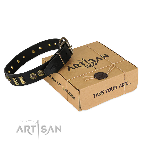 Rust resistant adornments on natural leather dog collar for your dog